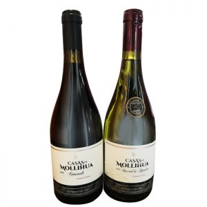 Moscatel + Cinsault - Viña Casas de Mollihua