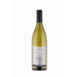Moscatel de Alejandría - Viña Lomas de Llahuen