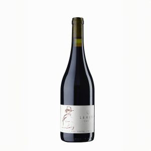 Cinsault - Viña La Kura