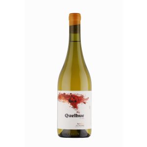 Semillón Quelhue - Viña San Luis